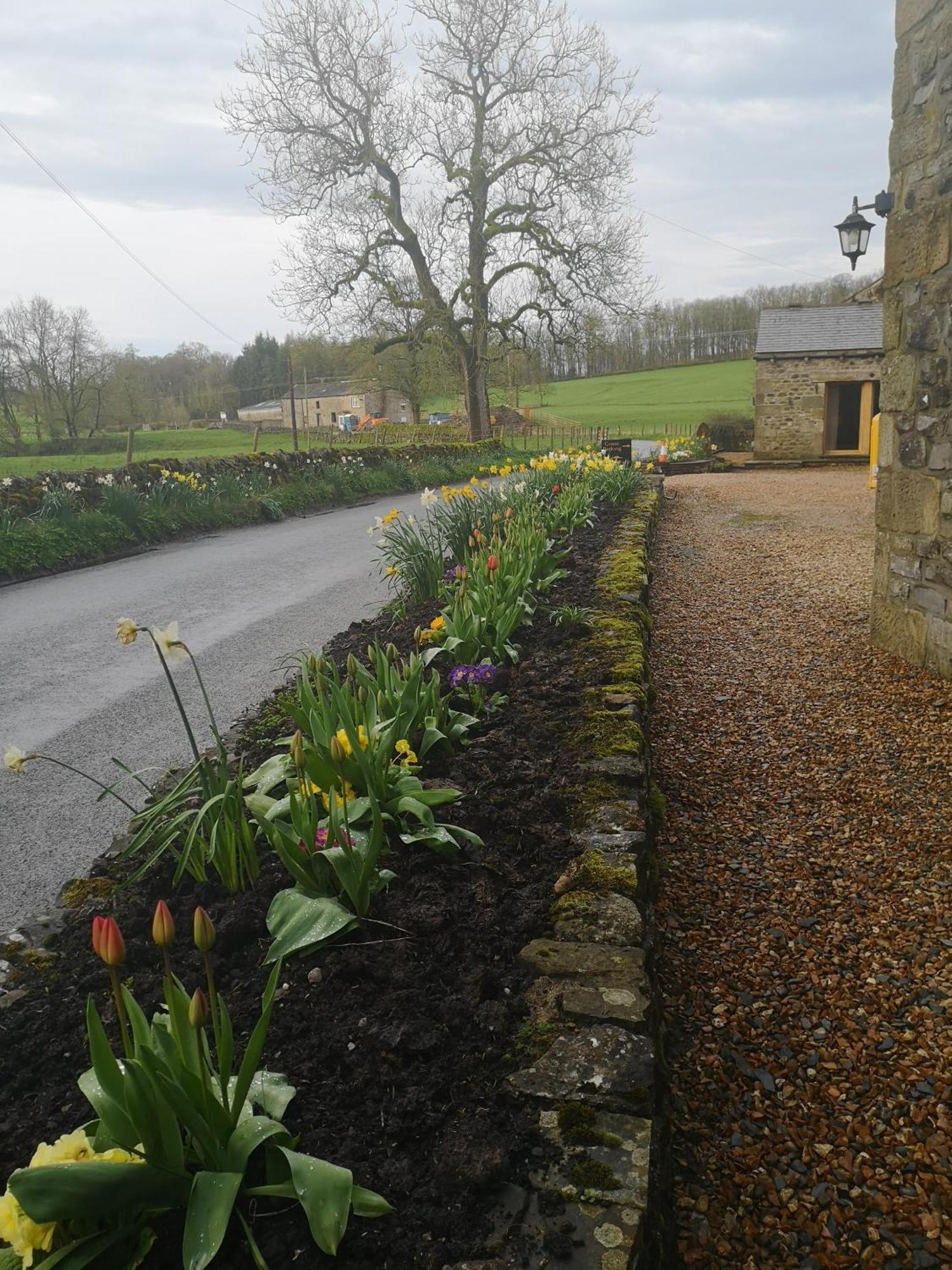 Green Grove Country House Malham Dış mekan fotoğraf