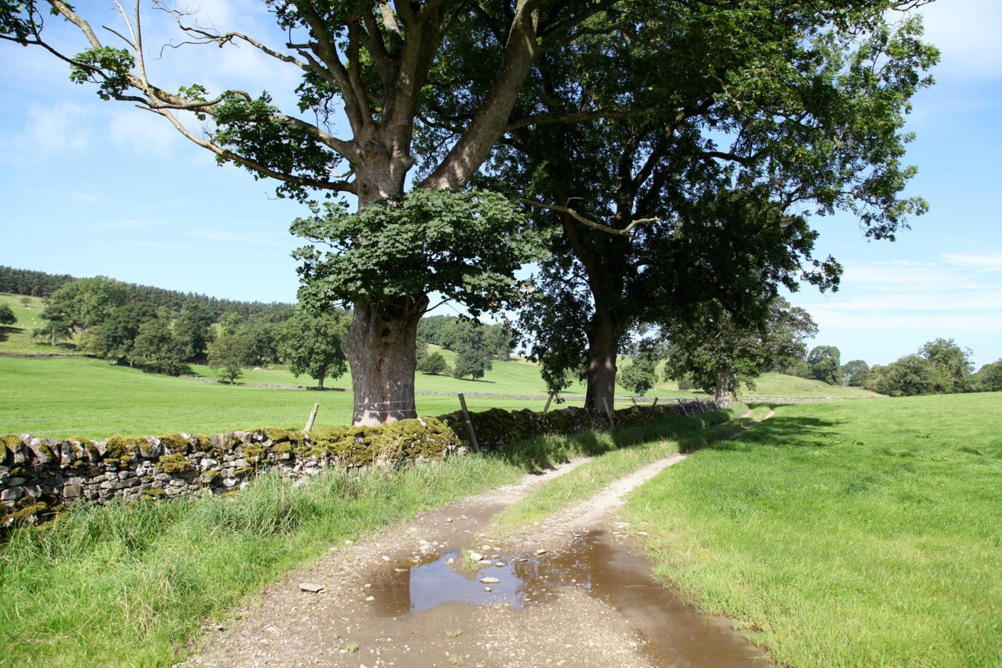 Green Grove Country House Malham Dış mekan fotoğraf