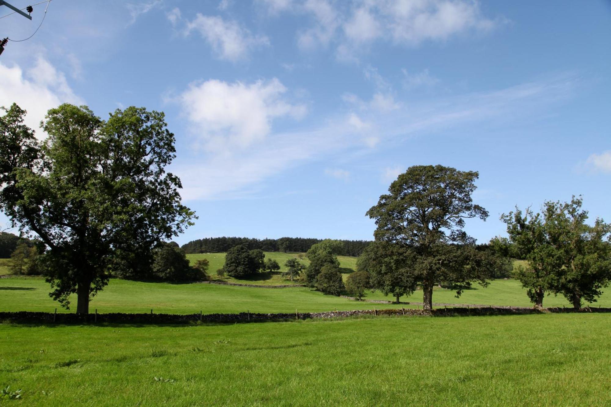 Green Grove Country House Malham Dış mekan fotoğraf