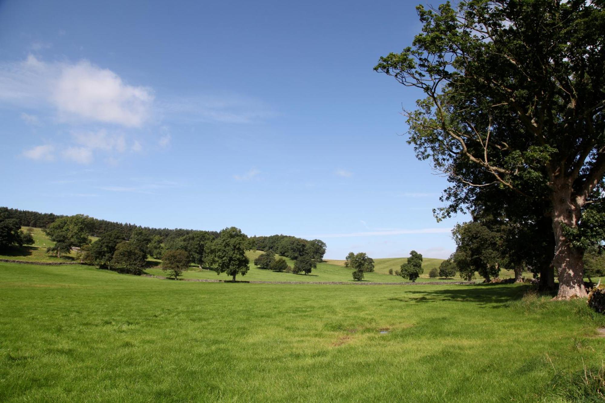 Green Grove Country House Malham Dış mekan fotoğraf